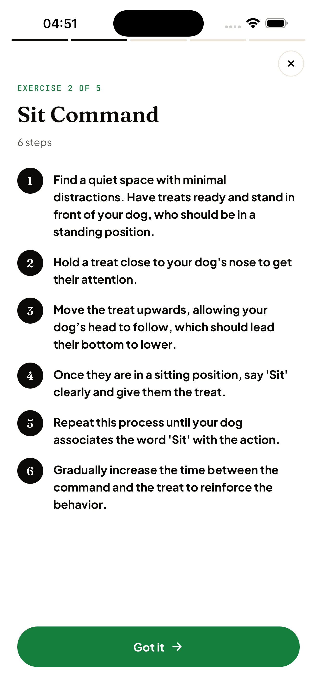 A daily guided training session in the TailorPup app